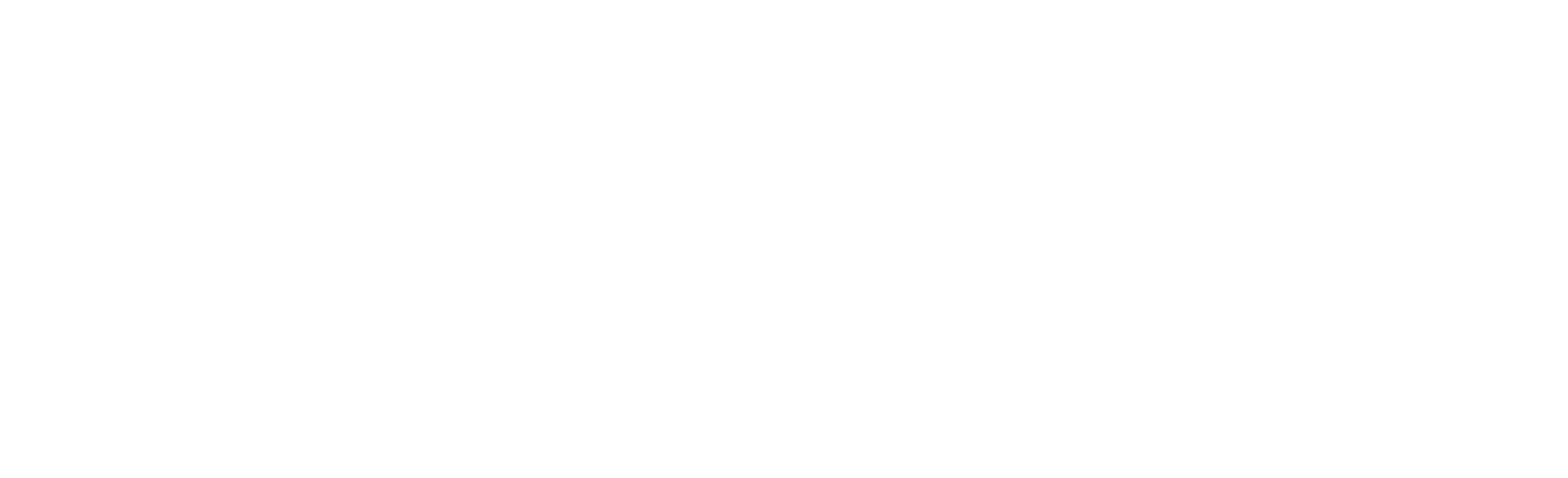 Naim-Logo-Blanc